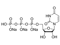 腺苷-5'-二磷酸鈉鹽水合物，98%