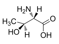 L-別蘇氨酸，95%(HPLC)